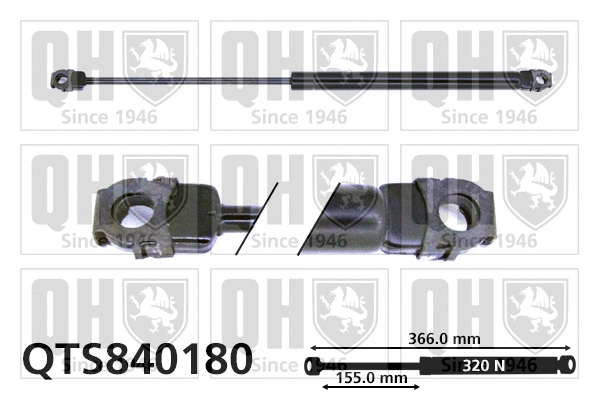 Gas Spring, bonnet (QTS840180)