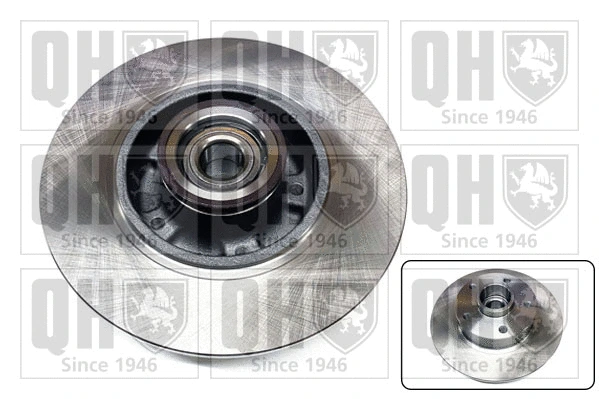 Brake Disc (BDC6165)