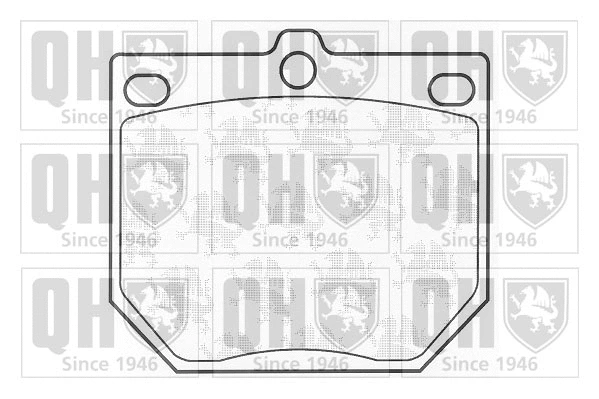 Brake Pad Set, disc brake (BP231)
