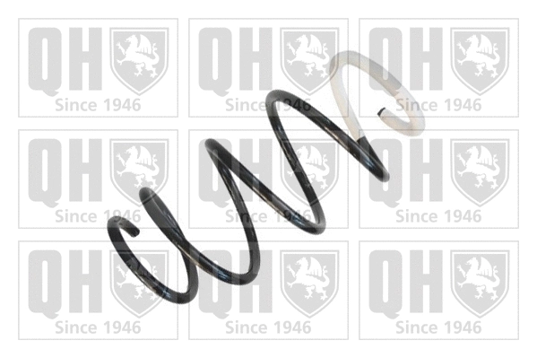 Suspension Spring (QCS5217)