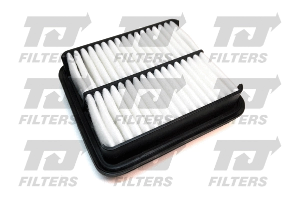 Air Filter (QFA0724)
