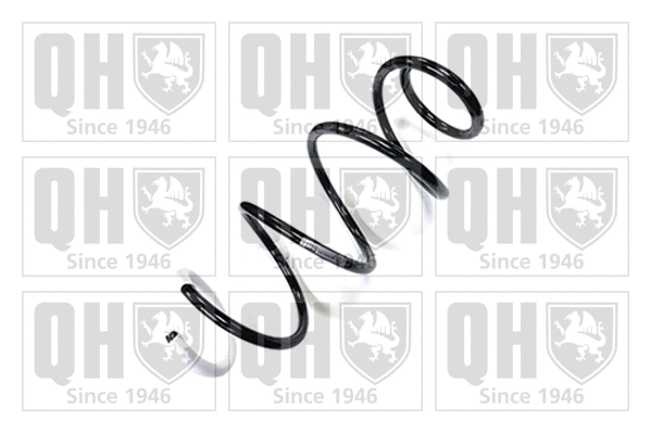 Suspension Spring (QCS6655)