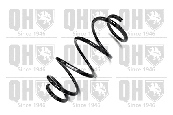 Suspension Spring (QCS8071)