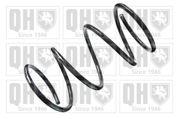 Suspension Spring (QCS6974)