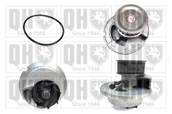 Water Pump, engine cooling (QCP3386)