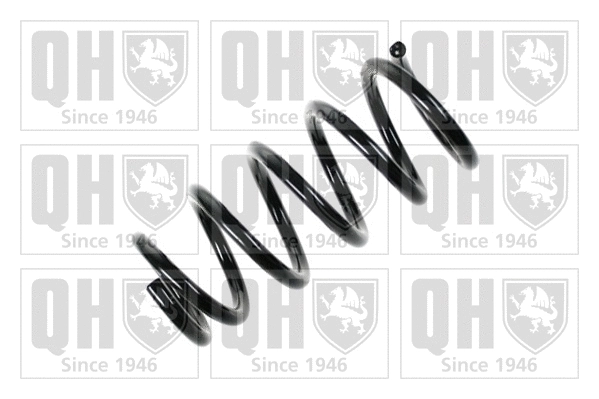 Suspension Spring (QCS6464)