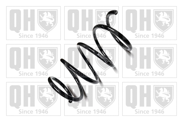Suspension Spring (QCS7558)