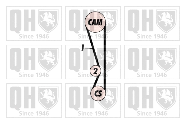 Timing Belt Kit (QBK432)