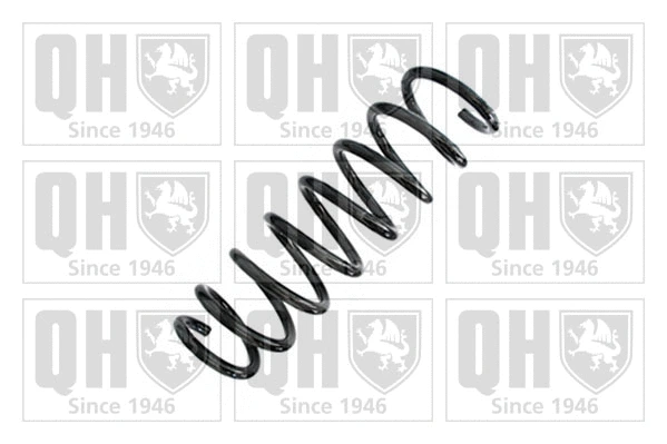 Suspension Spring (QCS9039)