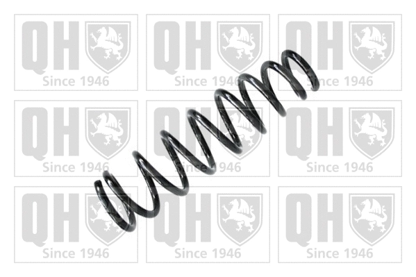 Suspension Spring (QCS8052)