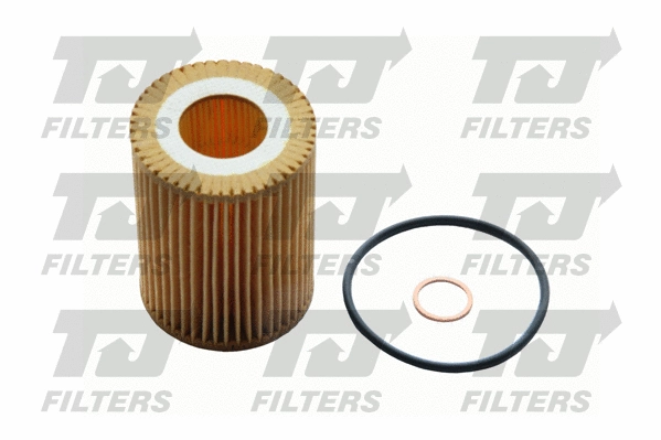 Oil Filter (QFL0308)