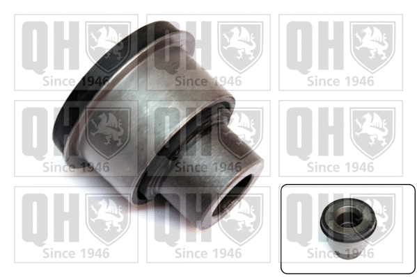 Bushing, axle beam (EMS8600)