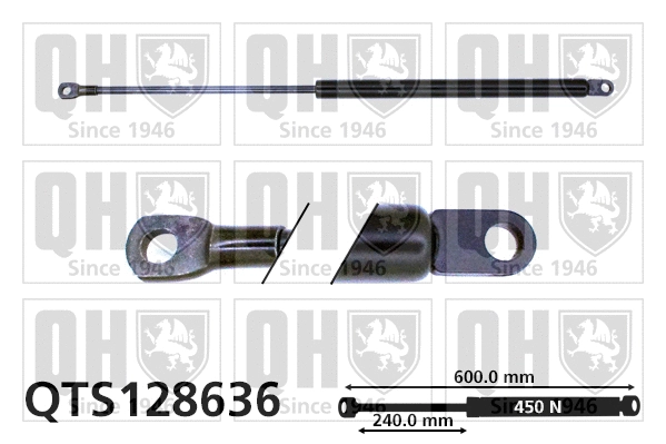 Gas Spring, boot/cargo area (QTS128636)