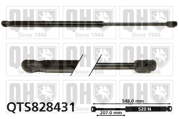 Gas Spring, boot/cargo area (QTS828431)