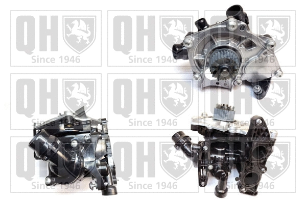 Water Pump, engine cooling (QCP3868BH)