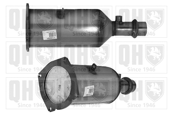 Soot/Particulate Filter, exhaust system (QDPF11009)