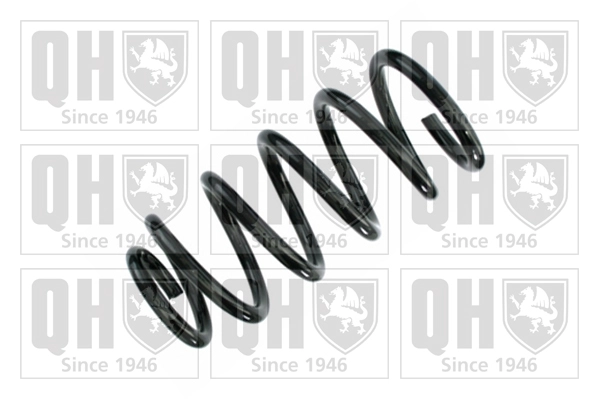 Suspension Spring (QCS8595)