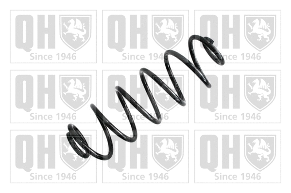 Suspension Spring (QCS8186)