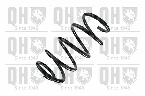 Suspension Spring (QCS8955)