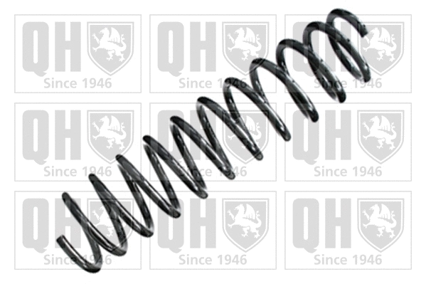 Suspension Spring (QCS6251)