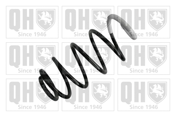 Suspension Spring (QCS7588)