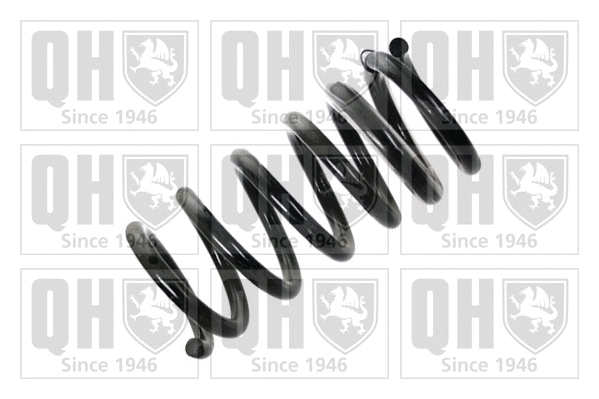 Suspension Spring (QCS6047)