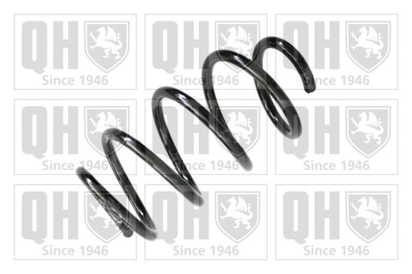 Suspension Spring (QCS6294)