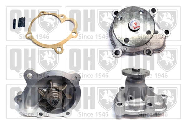 Water Pump, engine cooling (QCP3168)