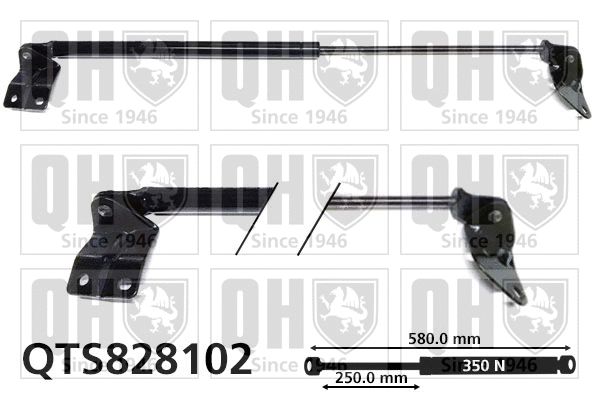 Gas Spring, boot/cargo area (QTS828102)