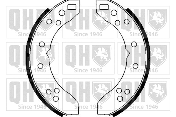 Brake Shoe Set (BS516)