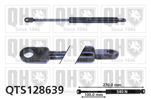 Gas Spring, bonnet (QTS128639)