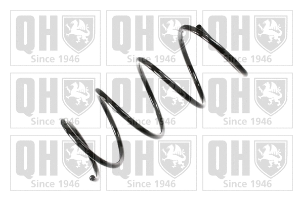 Suspension Spring (QCS5998)