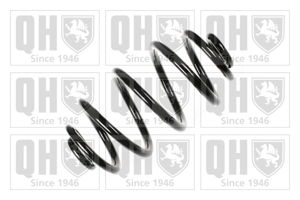 Suspension Spring (QCS6264)