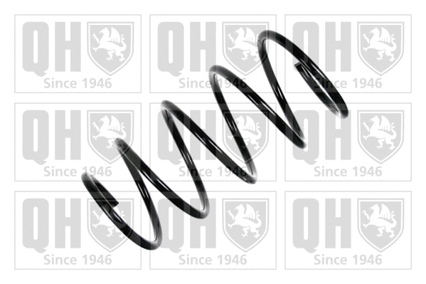 Suspension Spring (QCS5323)