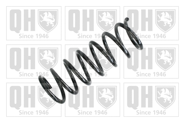 Suspension Spring (QCS6828)