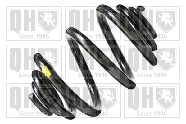 Suspension Spring (QCS7532)