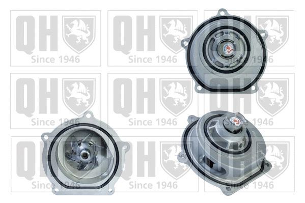 Water Pump, engine cooling (QCP3125)