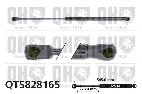 Gas Spring, boot/cargo area (QTS828165)