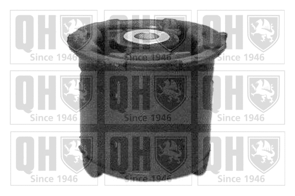 Mounting, control/trailing arm (EMS2472)