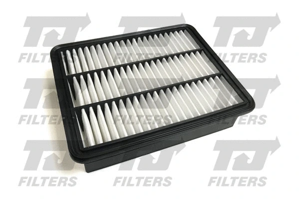 Air Filter (QFA0978)