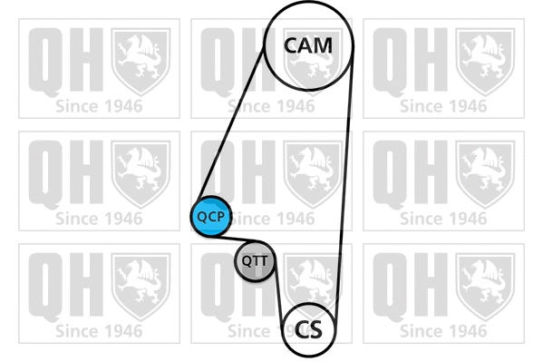 Timing Belt Kit (QBK331)