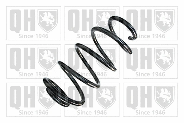 Suspension Spring (QCS8938)