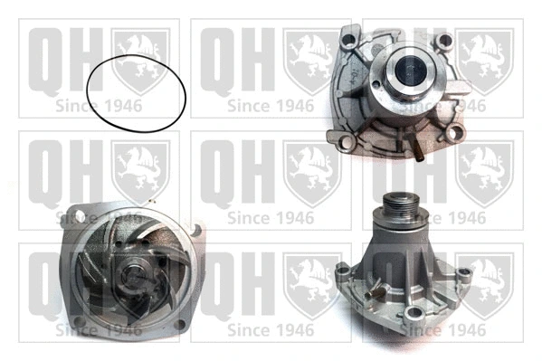 Water Pump, engine cooling (QCP2888)