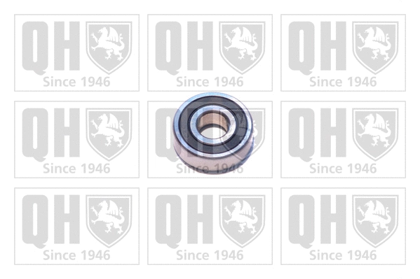 Bearing (XB9921)