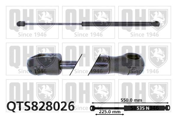 Gas Spring, boot/cargo area (QTS828026)