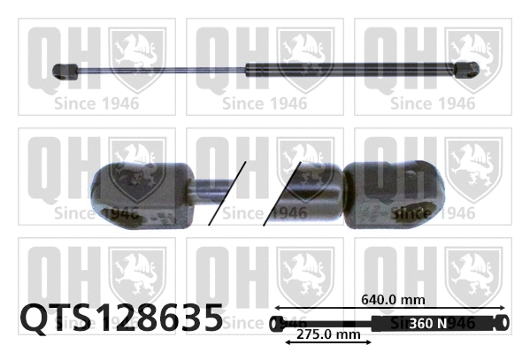 Gas Spring, boot/cargo area (QTS128635)