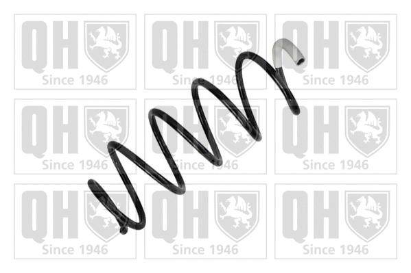 Suspension Spring (QCS8224)