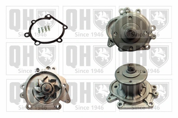 Water Pump, engine cooling (QCP2981)