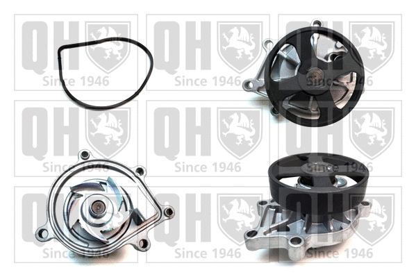Water Pump, engine cooling (QCP3744)