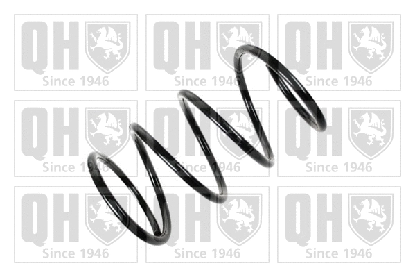 Suspension Spring (QCS5397)